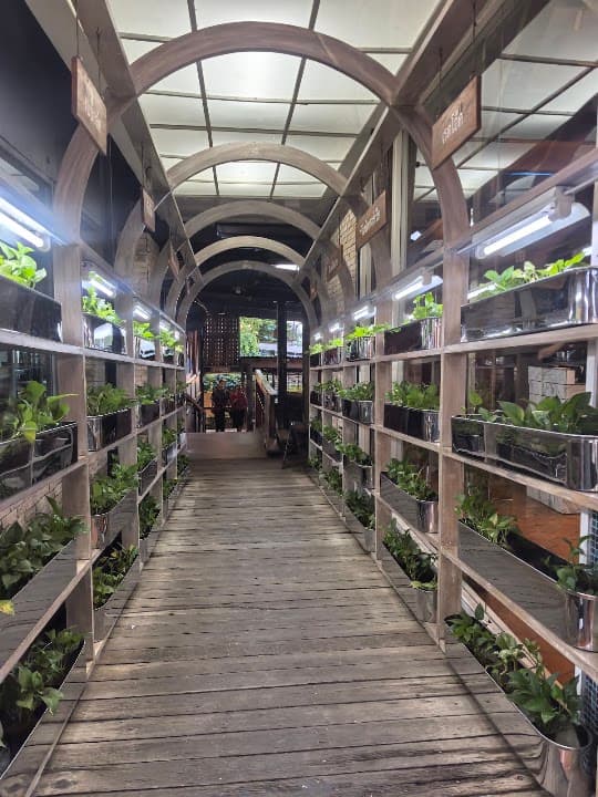 Ohkajhu Organic Farm Sansai