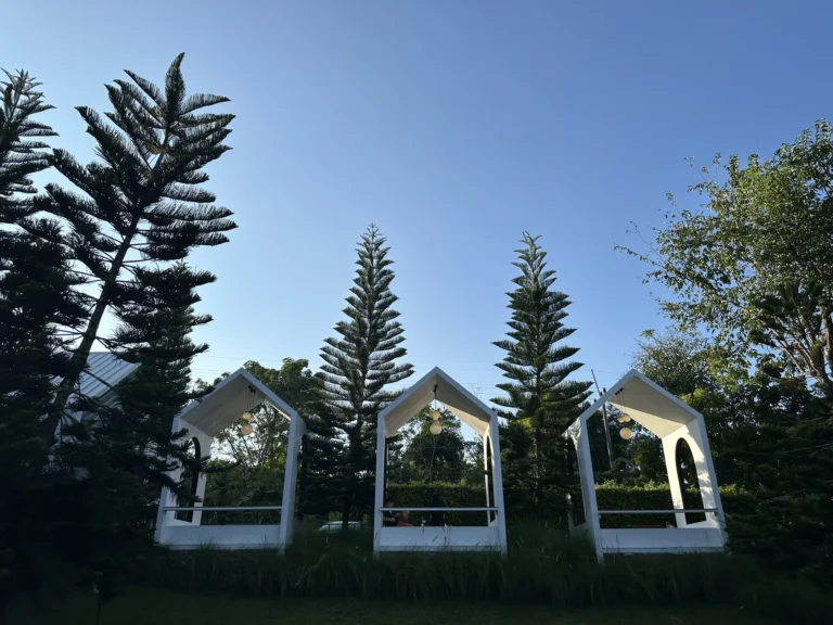 รีวิว Fleur คาเฟ่ เชียงใหม่ 🌸: คาเฟ่สไตล์ฝรั่งเศส บรรยากาศดี ถ่ายรูปสวยจนต้องปักหมุด! 📸✨